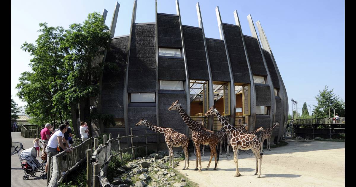Diergaarde Blijdorp Rotterdam Zoo Uitagenda Rotterdam diergaarde-blijdorp-rotterdam-zoo-uitagenda-rotterdam