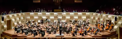 Rachmaninov-Pletnev Festival - Sinfonia Rotterdam <sup></sup>
