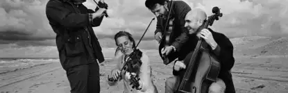 North Sea String Quartet <sup></sup>