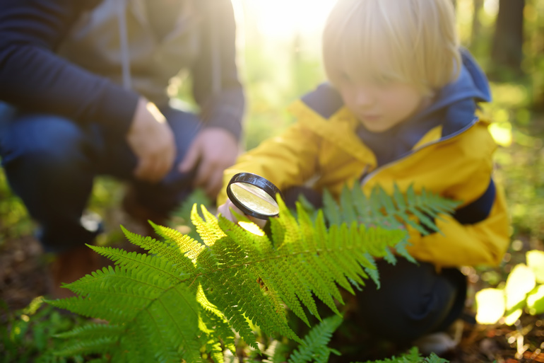 Hiking with children in the forest