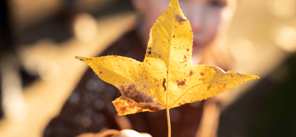 Op zoek naar herfstschatten bij Trompenburg