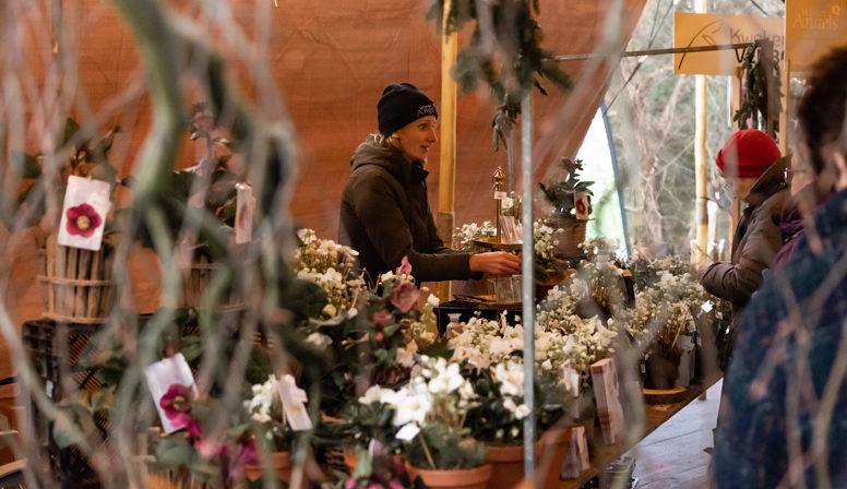 Botanische kerstmarkt bij Trompenburg Tuinen & Arboretum