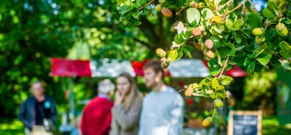 Doe herfstinkopen bij Trompenburg