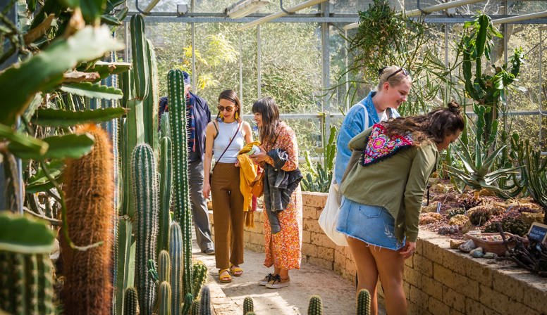 Prikkelend weekend in Trompenburg met vet(te) planten en kekke cactussen