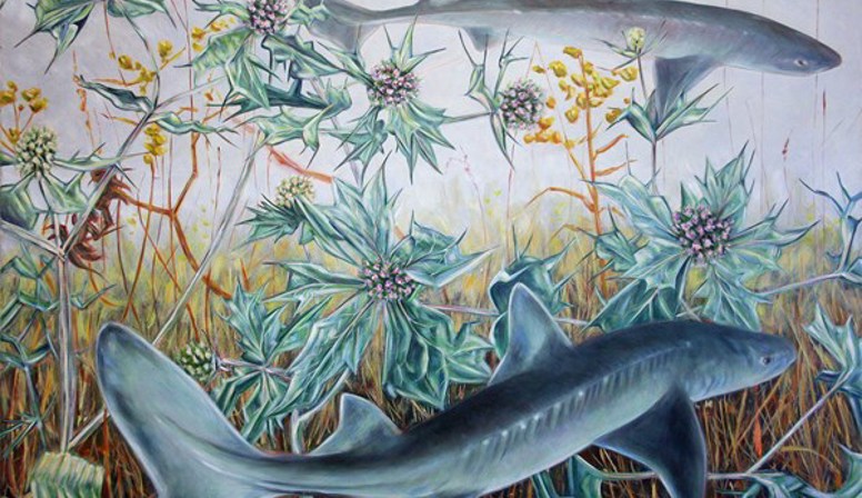 Shifting Habitats van Jasper de Gelder in het Natuurhistorisch Museum