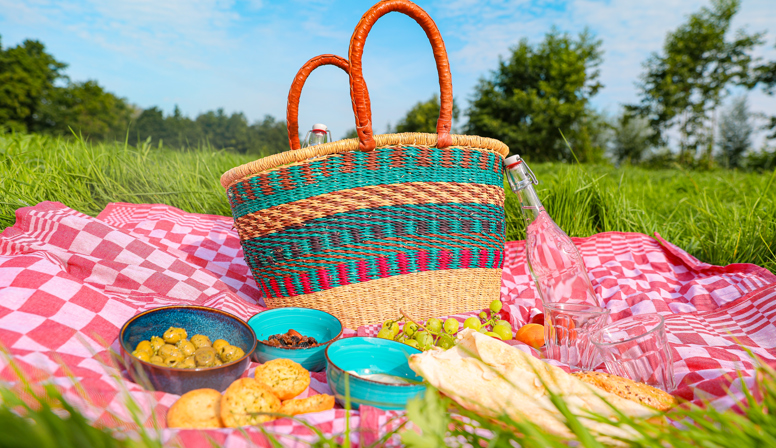 De Grote Picknick op Zuid
