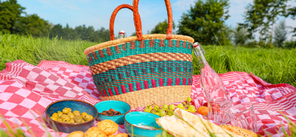 De Grote Picknick op Zuid