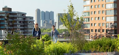 Kaartverkoop gestart voor Rotterdamse Dakendagen en Bovenop Zuid