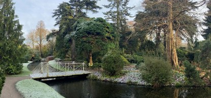 Trompenburg Tuinen & Arboretum opent zaterdag ondanks de restricties haar deuren