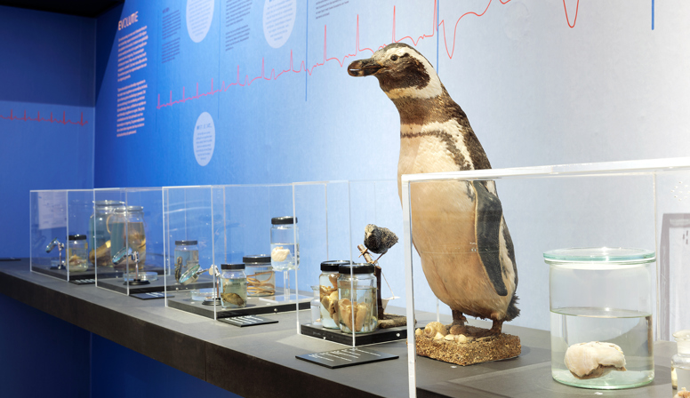 Komt een leeuw bij de dokter in het Natuurhistorisch Museum