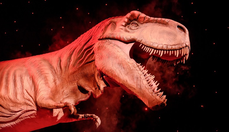 Dinosaurussen nemen Van Nelle Fabriek over