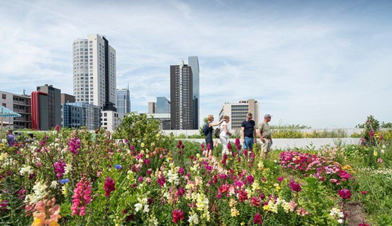Rotterdamse Dakendagen: voor deze activiteiten zijn nog kaartjes