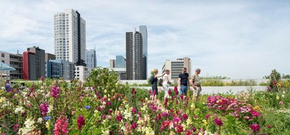 Rotterdamse Dakendagen: voor deze activiteiten zijn nog kaartjes