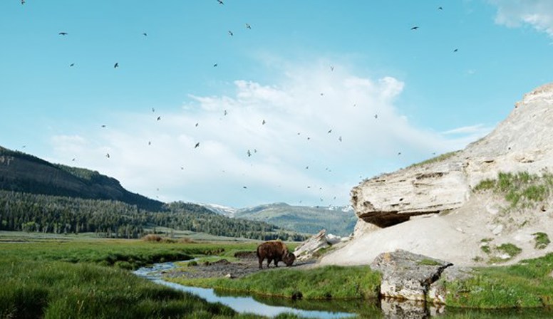 6x Wildlife Film Festival Rotterdam