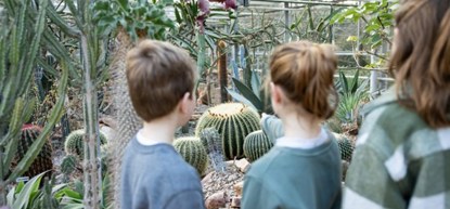 Kinderen kunnen dit jaar van alles beleven bij Trompenburg Tuinen & Arboretum