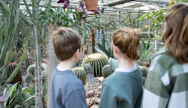 Kinderen kunnen dit jaar van alles beleven bij Trompenburg Tuinen & Arboretum
