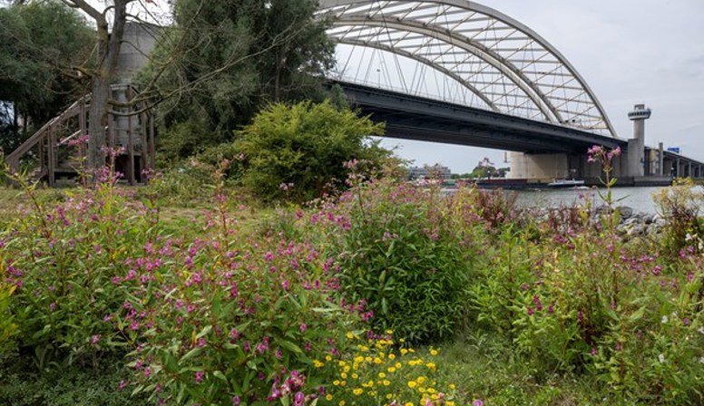 Het 150-jarig bestaan van de Nieuwe Waterweg wordt gevierd met een festival