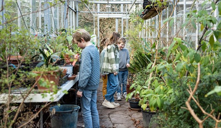 3x kinderactiviteiten in Trompenburg