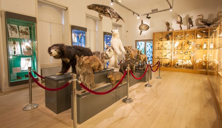 Thuismuseum: Natuurhistorisch Museum