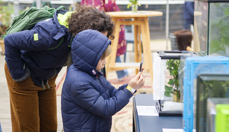 Lentefestival bij Trompenburg