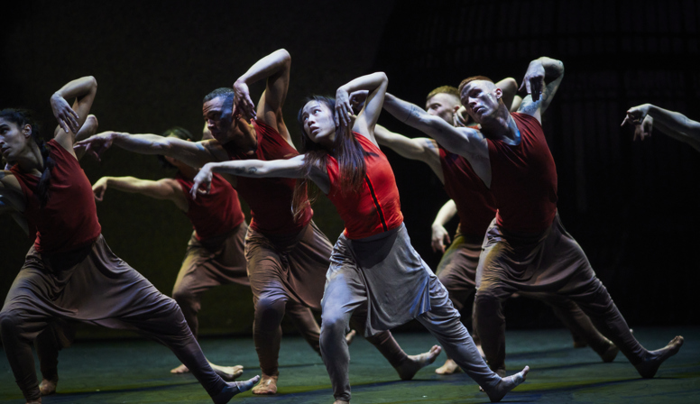 Jungle Book reimagined: fraai en meeslepende dansvoorstelling