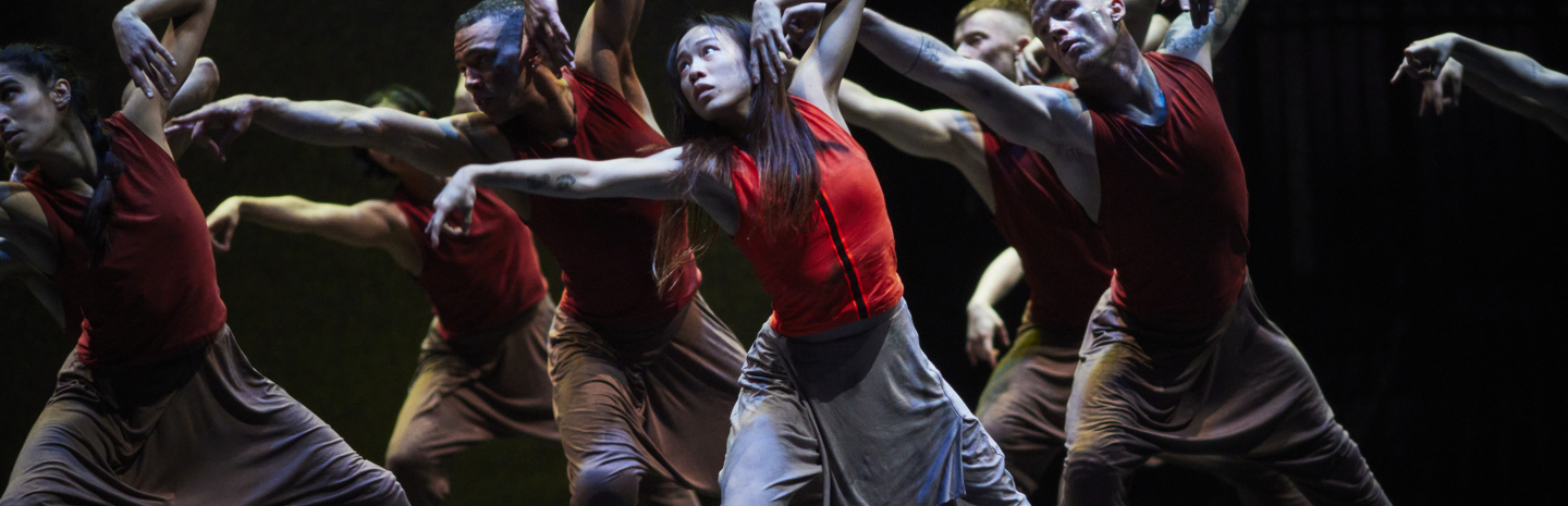 Jungle Book reimagined: fraai en meeslepende dansvoorstelling