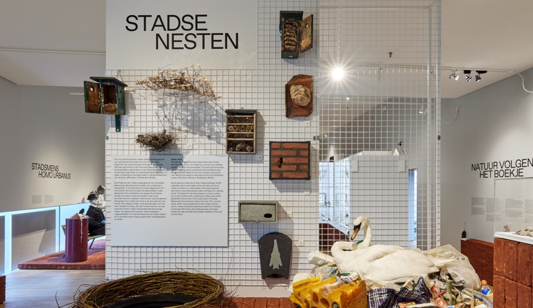 Natuurhistorisch Museum Rotterdam toont bijzondere nesten